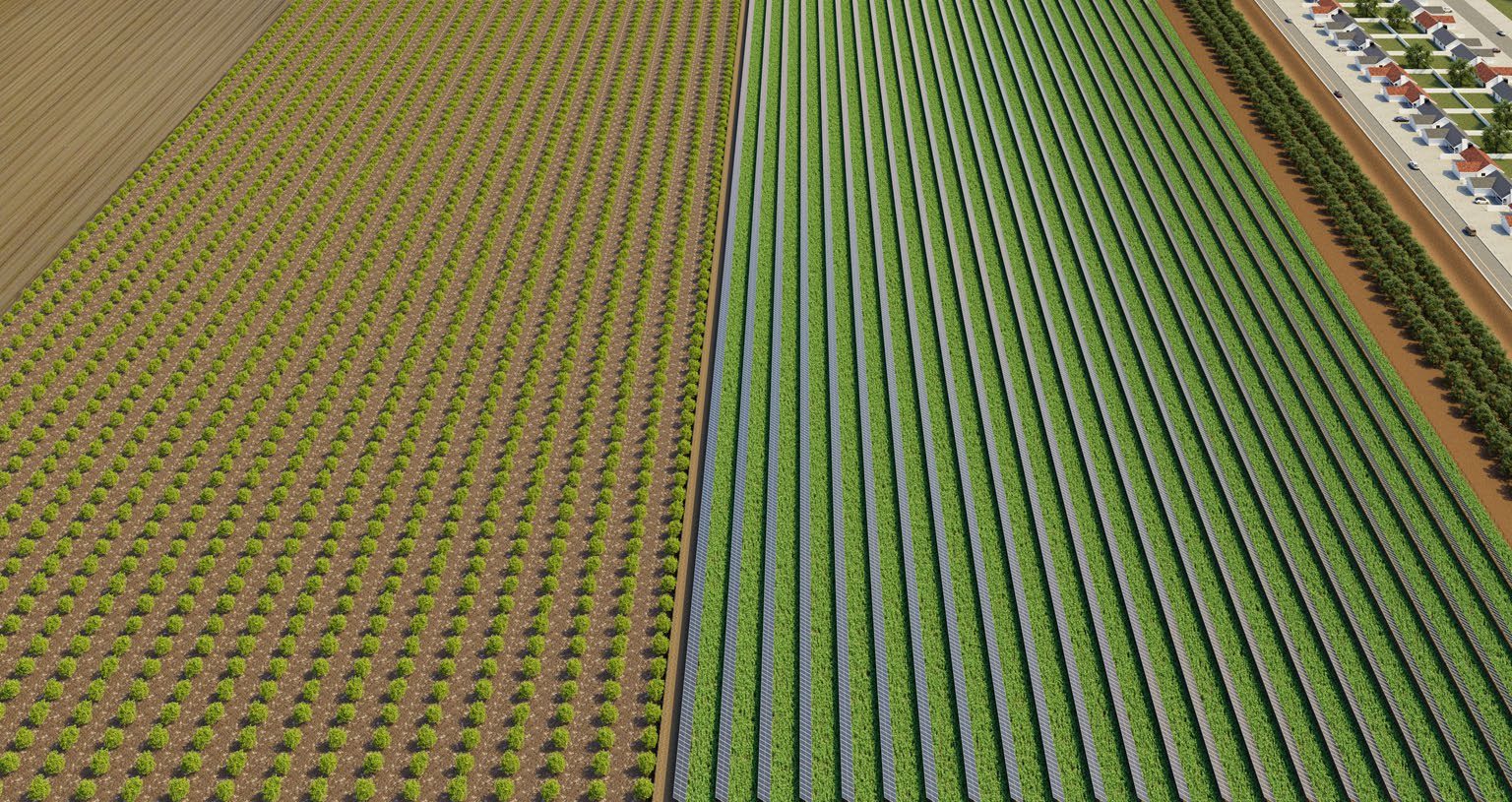 Aerial rendering of Ventura Sun Farms agrivoltaic project, showing rows of solar panels alternating with agricultural crops next to citrus orchards.